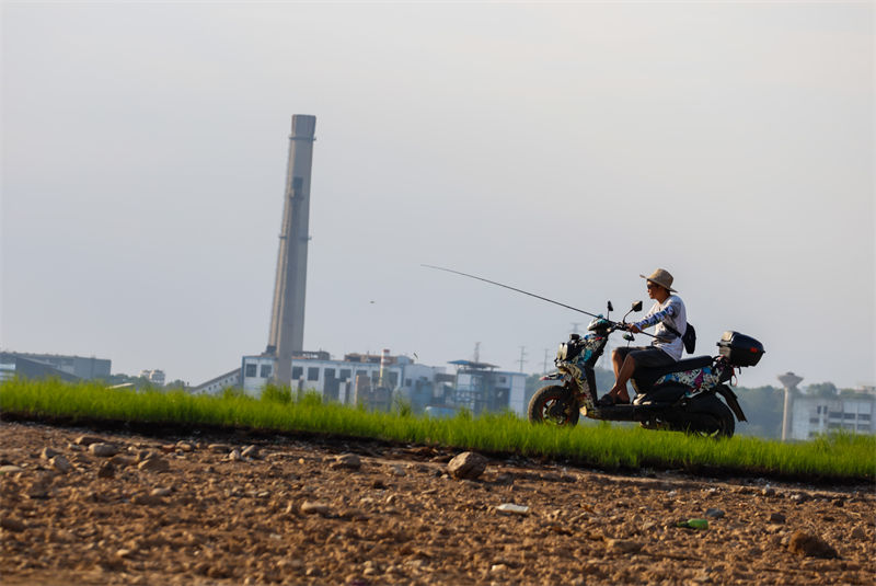 Jiangxi: grave seca no lago Poyang destrói sua fauna e flora