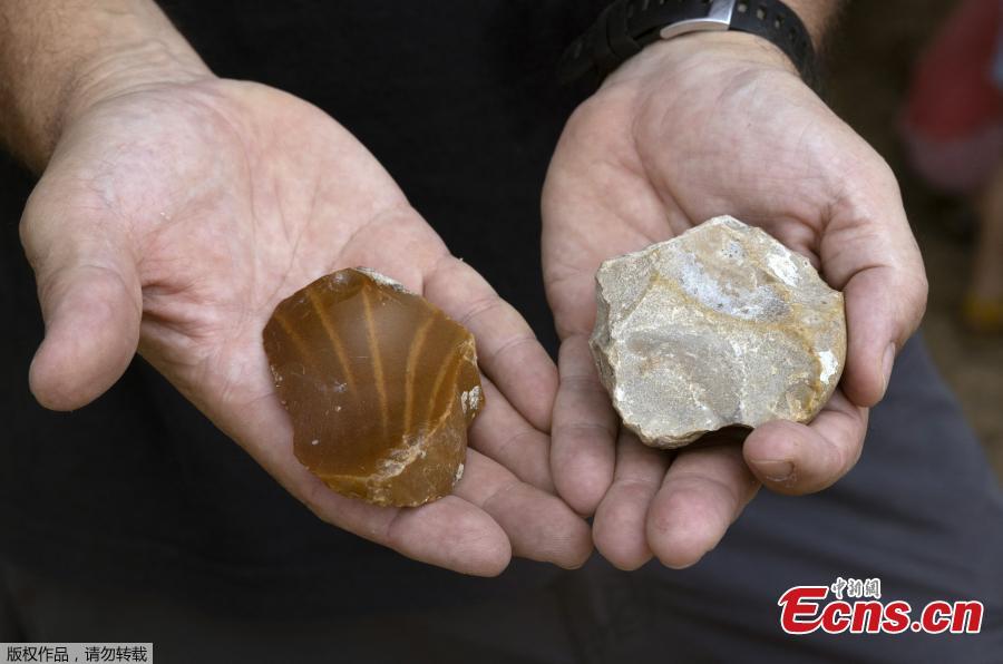 Presa de elefante gigante de 500.000 anos é descoberta em Israel