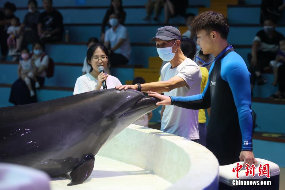 Nanjing: mundo subaquático lan?a uma série de atividades da ciência popular