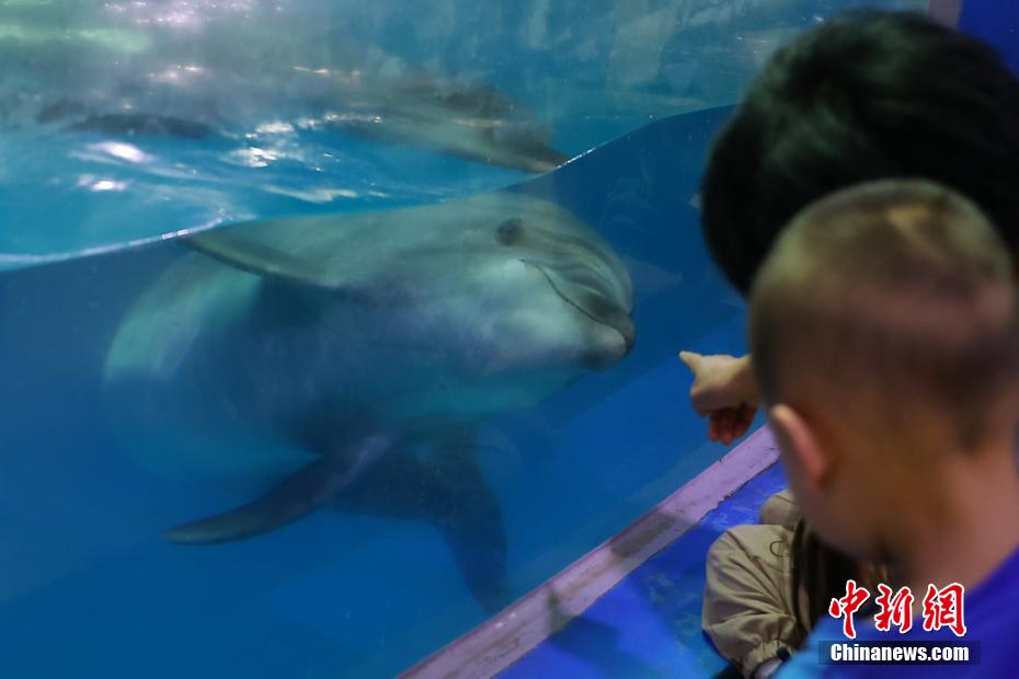 Nanjing: mundo subaquático lan?a uma série de atividades da ciência popular