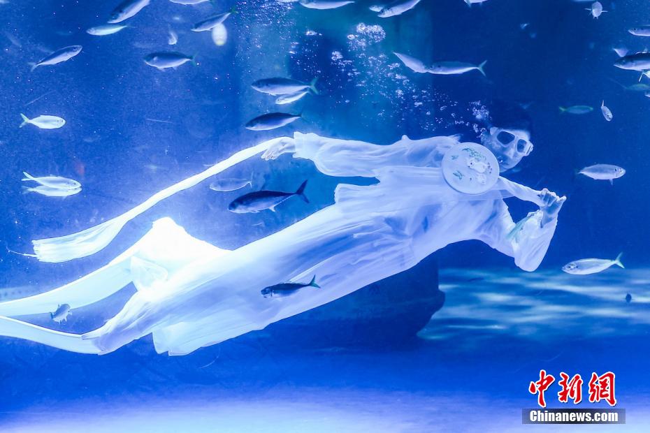 Nanjing: mundo subaquático lan?a uma série de atividades da ciência popular