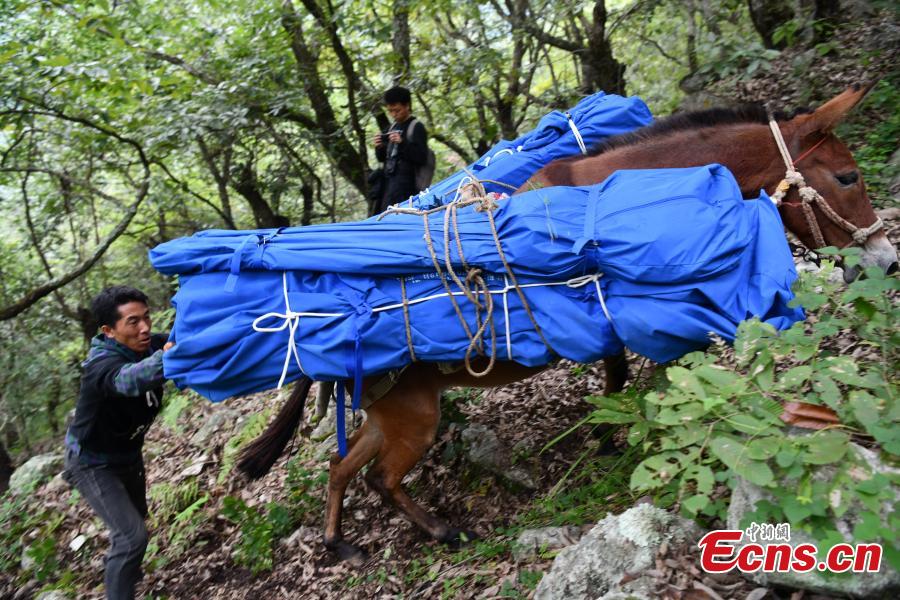 Sichuan: trabalho de socorro está em andamento
