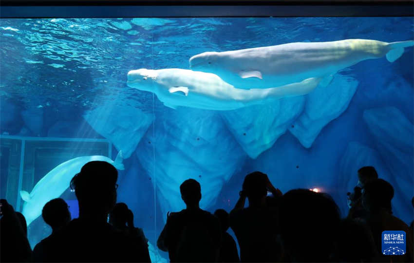 Festival do Meio Outono: redu??o do número de viagens na sequência de medidas anti-epidêmicas