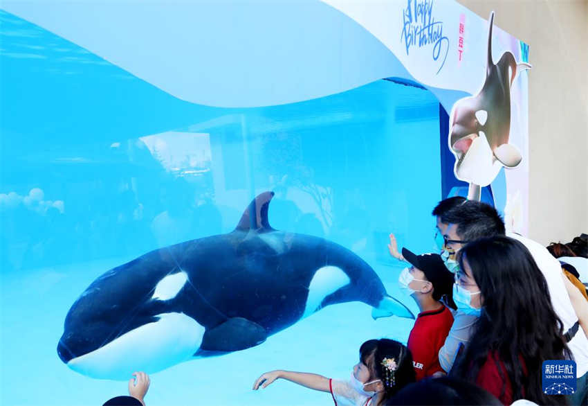 Festival do Meio Outono: redu??o do número de viagens na sequência de medidas anti-epidêmicas