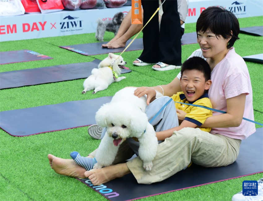 Festival do Meio Outono: redu??o do número de viagens na sequência de medidas anti-epidêmicas