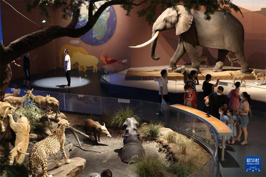 Festival do Meio Outono: redu??o do número de viagens na sequência de medidas anti-epidêmicas