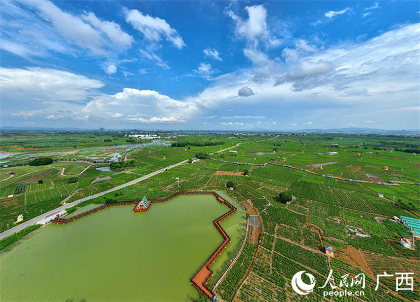 Galeria: Jardim de Jasmim Chinês de Hengzhou, Guangxi