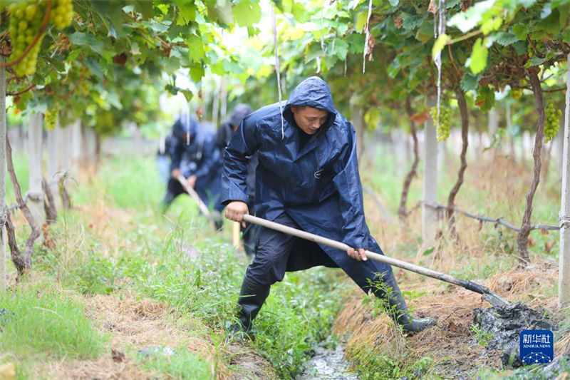 áreas costeiras orientais respondem ativamente ao tuf?o 
