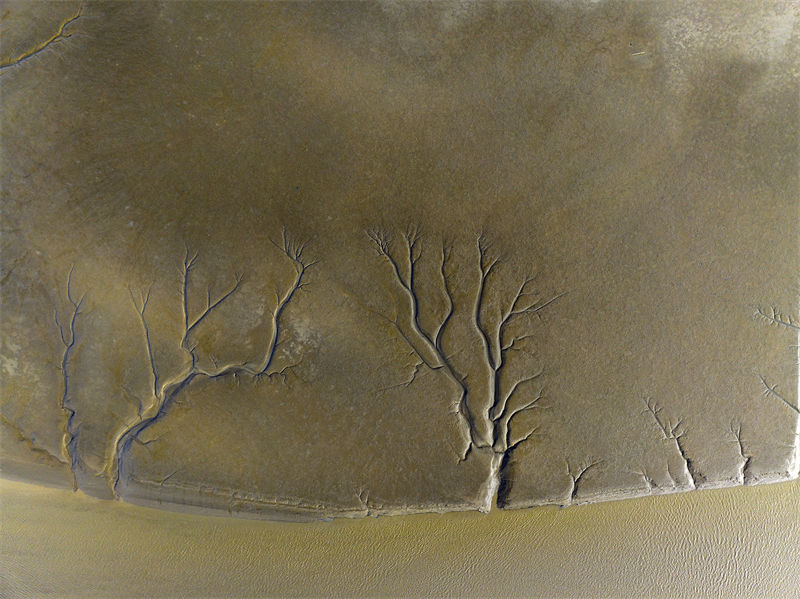 Jiangsu: paisagem deslumbrante da zona úmida Tiaozini 