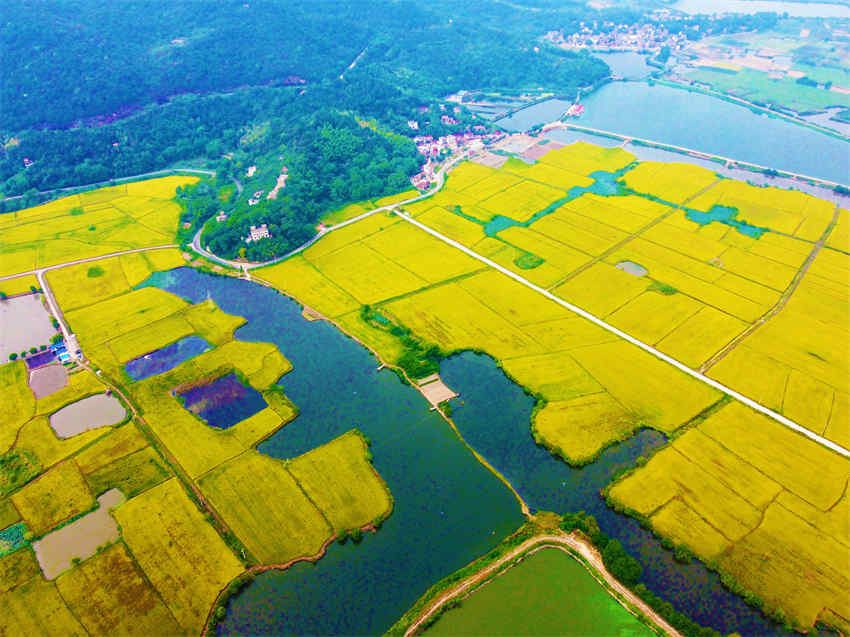 Equinócio de outono inicia época de colheita