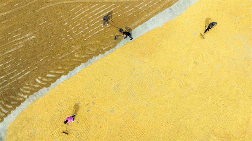 Equinócio de outono inicia época de colheita