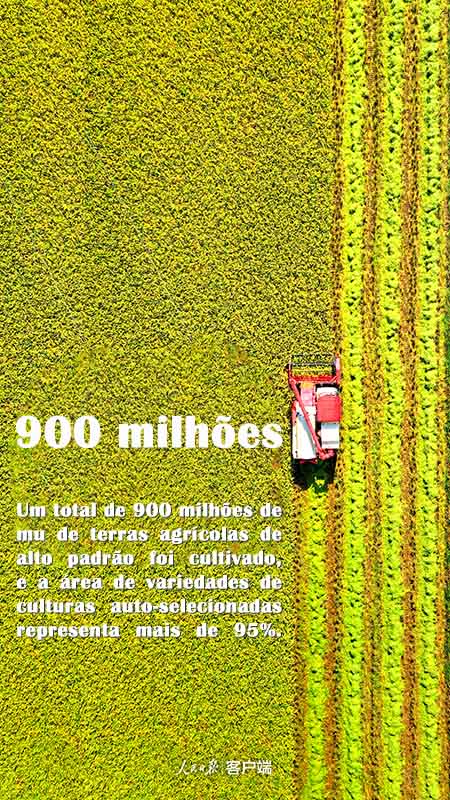 Infográfico: agricultura chinesa registra década de enorme progresso