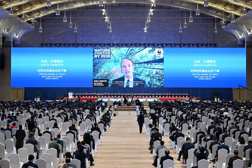 Novos compromissos com biodiversidade s?o anunciados à medida que líderes declaram prioridade da COP15
