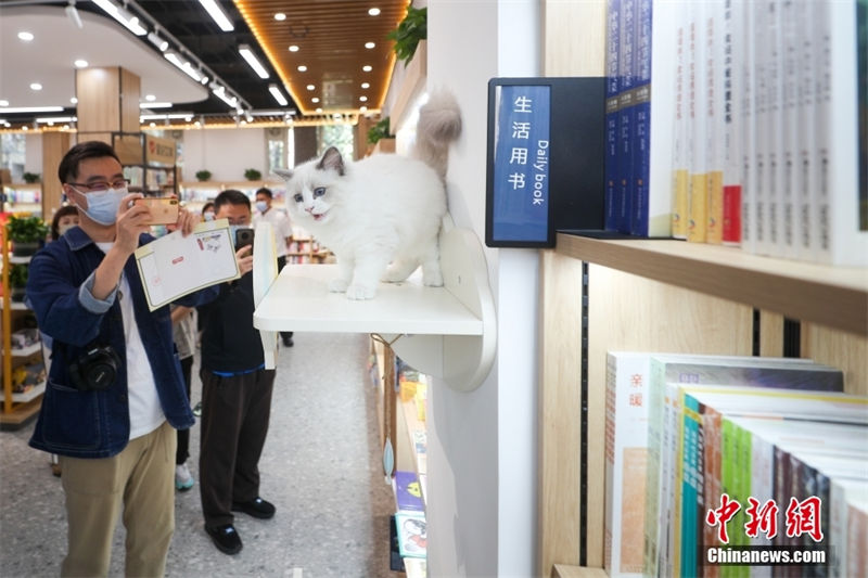 Primeira Livraria Xinhua com tema de animais de estima??o é inaugurada em Beijing