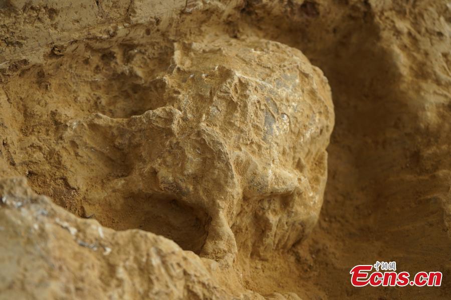 Novo cranio fossilizado do Homem Yunxian foi encontrado no centro da China