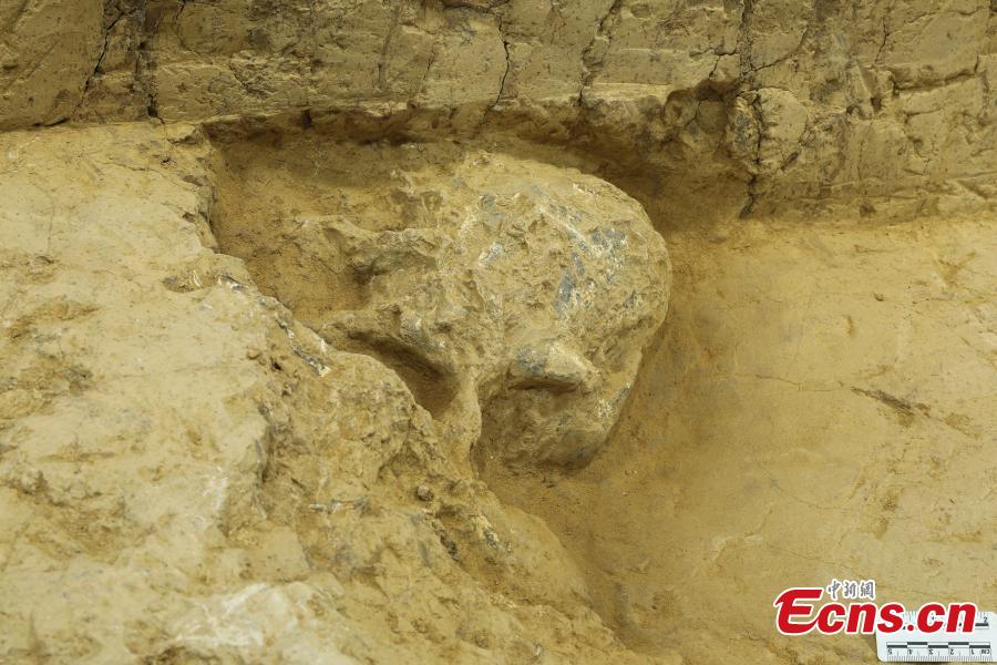 Novo cranio fossilizado do Homem Yunxian foi encontrado no centro da China
