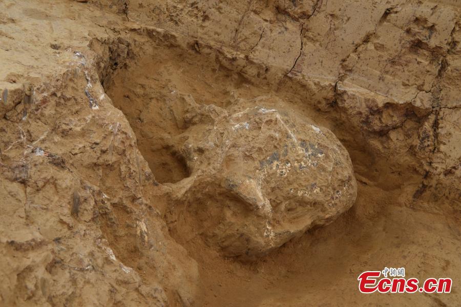 Novo cranio fossilizado do Homem Yunxian foi encontrado no centro da China