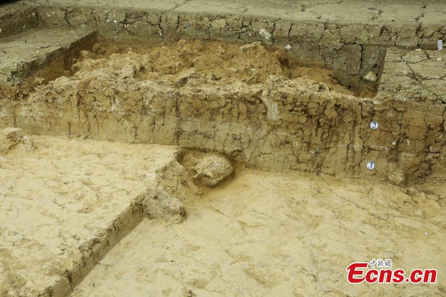 Novo cranio fossilizado do Homem Yunxian foi encontrado no centro da China