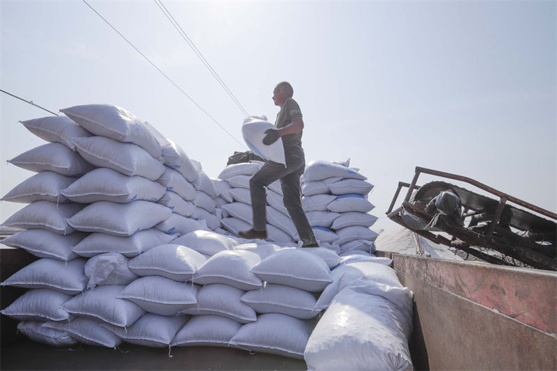 Hebei inicia temporada de colheita de sal de outono 