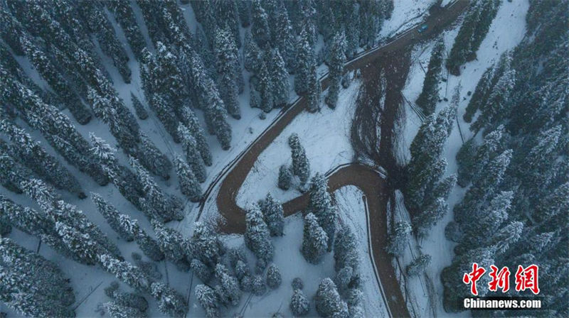 Galeria: paisagem de neve do outono no prado de Kalajun em Xinjiang