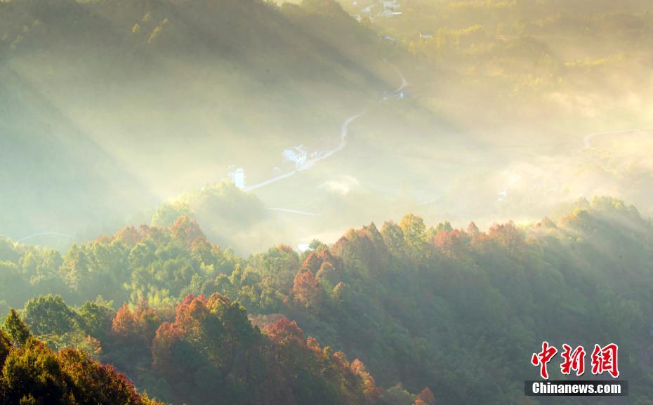 Galeria: madrugada de outono na montanha Qiyun no leste da China