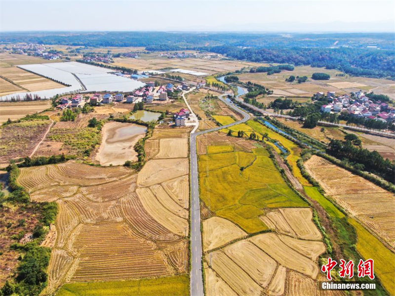 Galeria: estradas rurais atravessam campos belos no leste da China