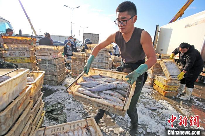 Shandong: pescadores vendem mariscos por transmiss?o ao vivo