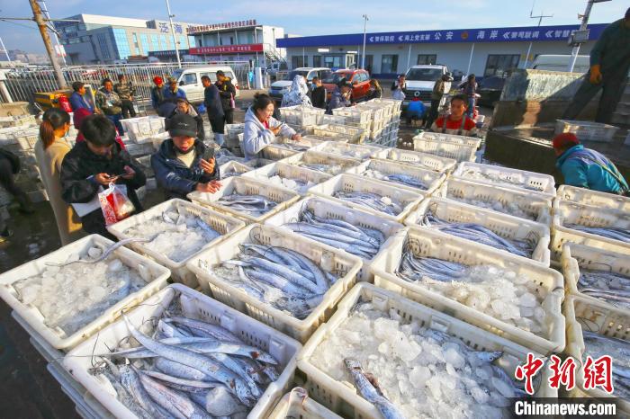 Shandong: pescadores vendem mariscos por transmiss?o ao vivo