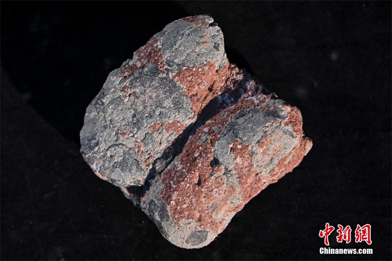 Número de fósseis de ovos de dinossauro excede 2.000 no Museu de Dinossauros de Heyuan