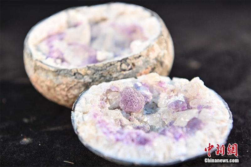 Número de fósseis de ovos de dinossauro excede 2.000 no Museu de Dinossauros de Heyuan