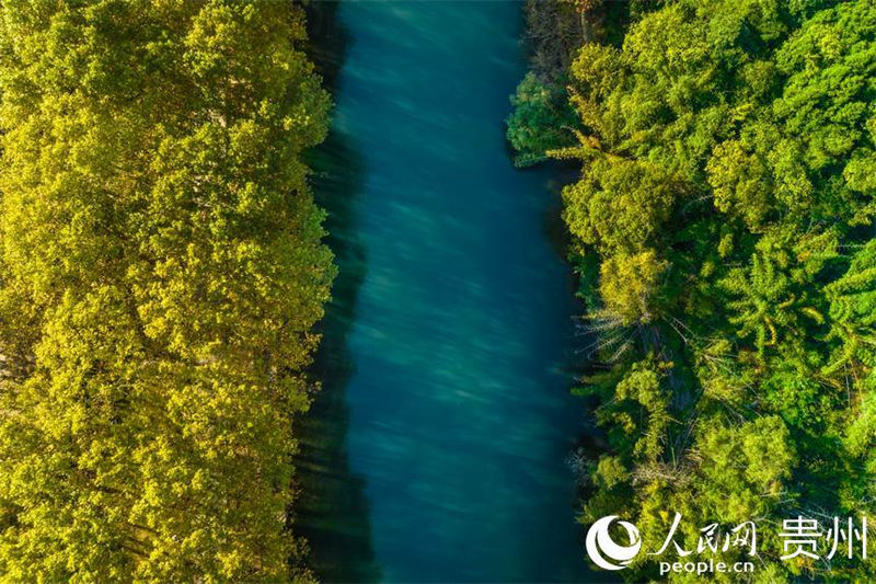 Galeria: melhor cenário de outono de Guiyang 