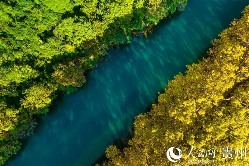 Galeria: melhor cenário de outono de Guiyang 