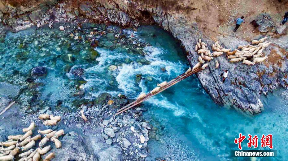 Galeria: Xinjiang inicia temporada de atividade pecuária de inverno