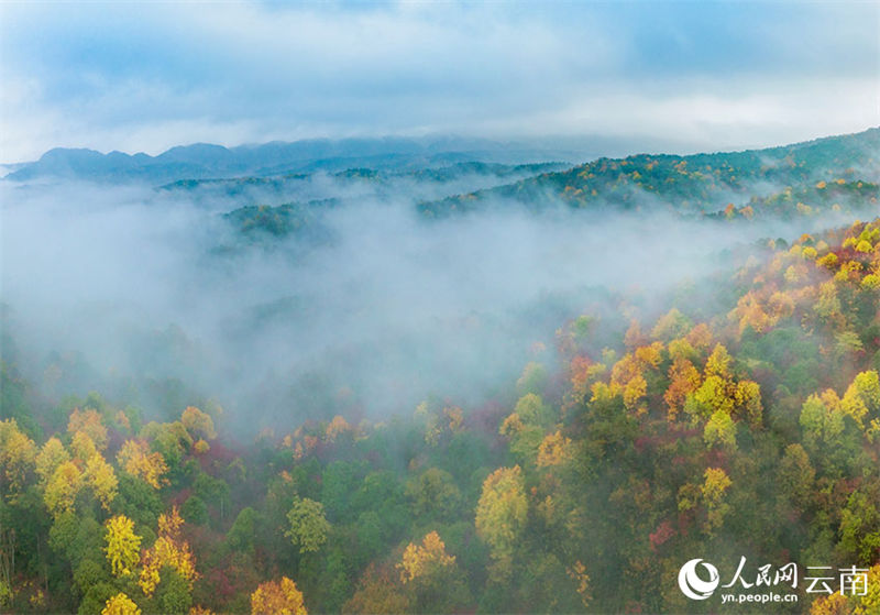 Galeria: cenário de outono do condado de Xiaocaoba