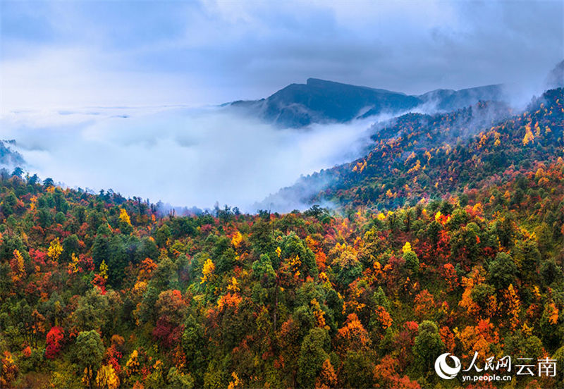 Galeria: cenário de outono do condado de Xiaocaoba