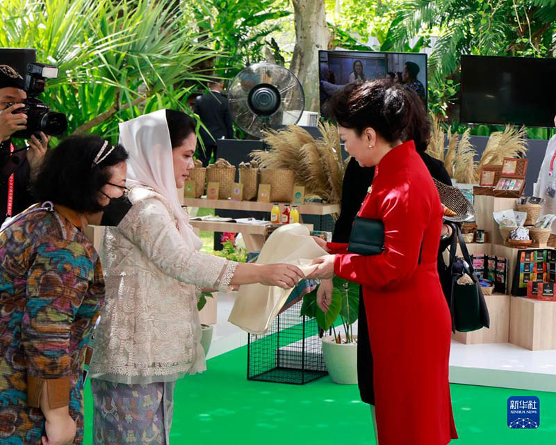 Peng Liyuan participa de evento para c?njuges de líderes do G20