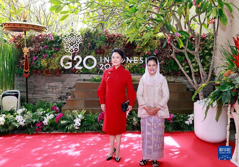 Peng Liyuan participa de evento para c?njuges de líderes do G20