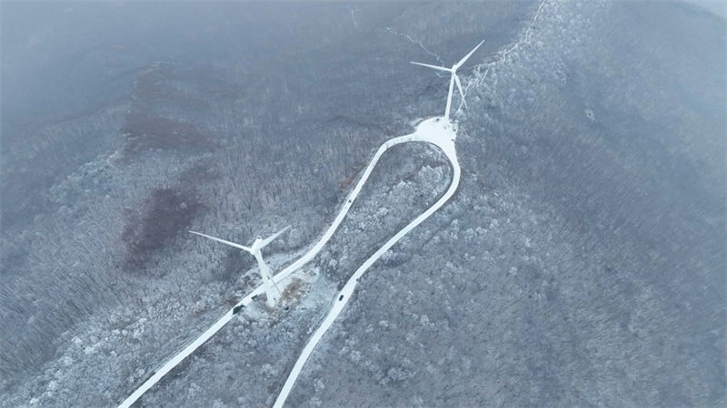 Heilongjiang: neve pesada cobre montanha Dadingzi