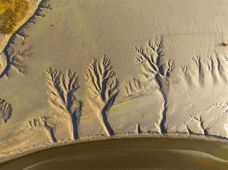 Jiangsu: paisagem espetacular da zona úmida Tiaozini