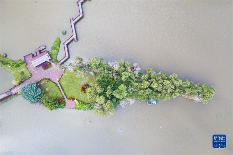 Reservatório de esgoto transforma-se em parque de pantanos