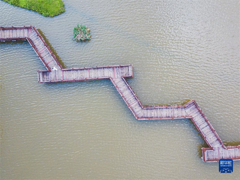 Reservatório de esgoto transforma-se em parque de pantanos