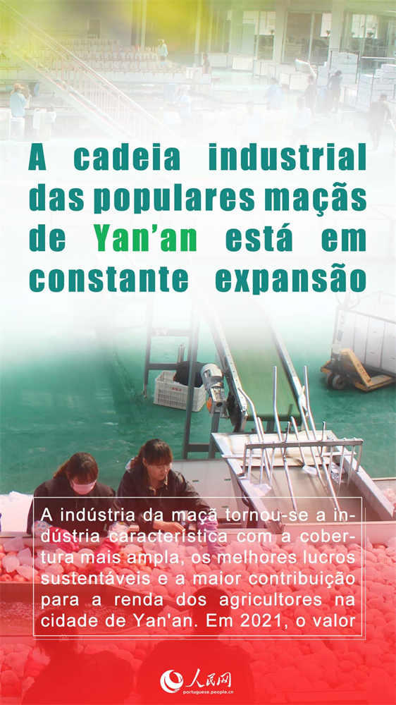 Porque se tornaram t?o populares as ma??s de Yan’an?