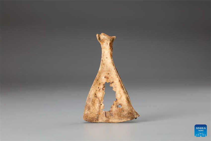 Relíquias da Idade do Bronze s?o encontradas no nordeste da China  