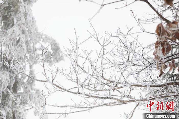 Galeria: montanha Dabieshan recebe primeira queda de neve