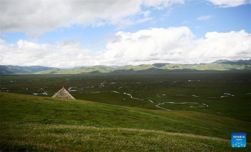 Noroeste da China restaura vegeta??o danificada através da conserva??o do solo 