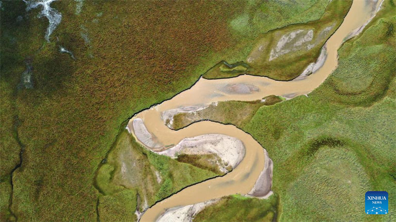 Noroeste da China restaura vegeta??o danificada através da conserva??o do solo 