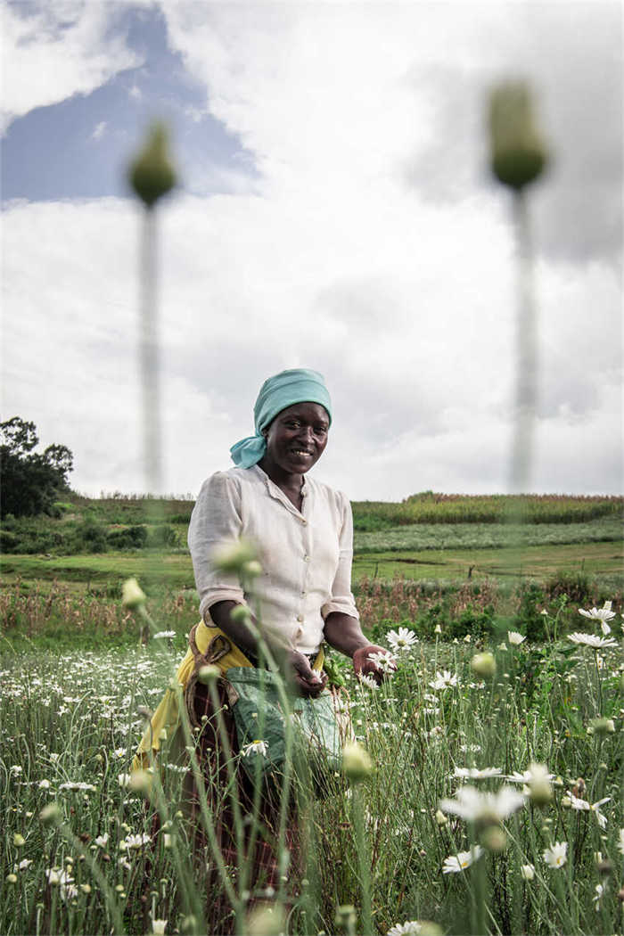 Lista de vencedores do primeiro Prêmio da Rota da Seda para a Comunica??o Internacional é divulgada