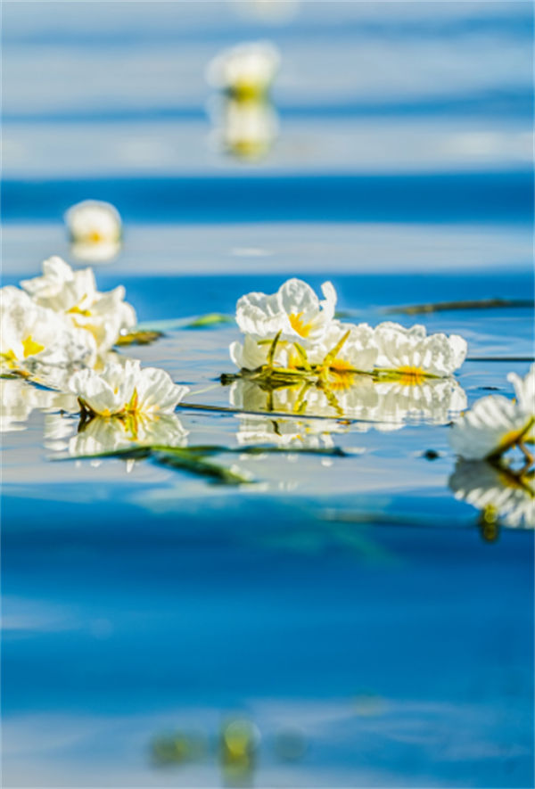 Galeria: belas paisagens das quatro esta??es de Yunnan