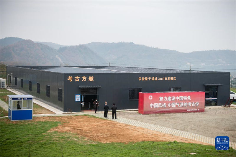 Cranio fóssil No 3 de 