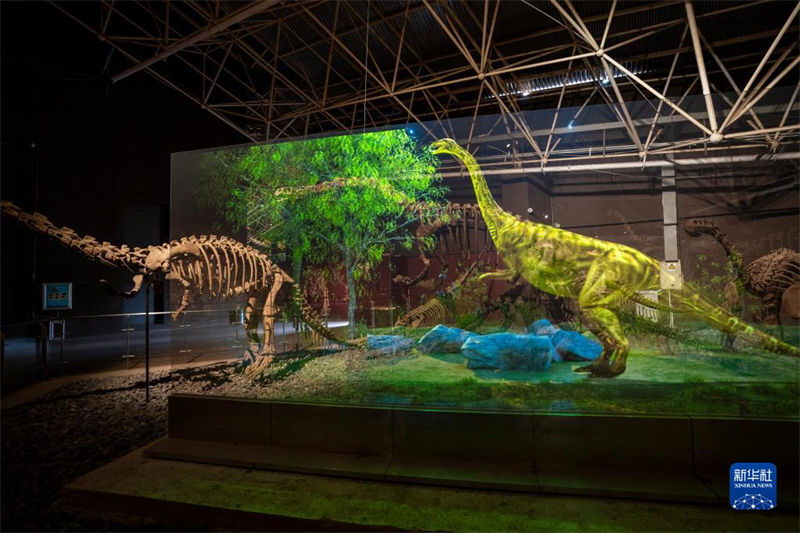 Yunnan: trabalho de escava??o de 9 novos sítios de fósseis de dinossauros é iniciado